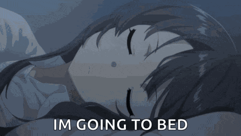 Mai Sakurajima Rascal Does Not Dream Of Bunny Girl Senpai GIF