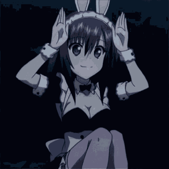 Maid Bunny GIF