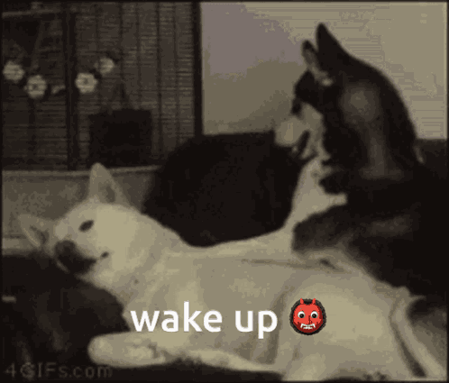 Majo Ogre GIF
