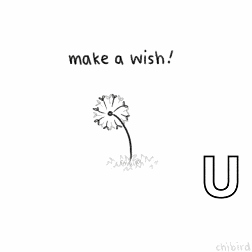 Make A Wish Countdown GIF