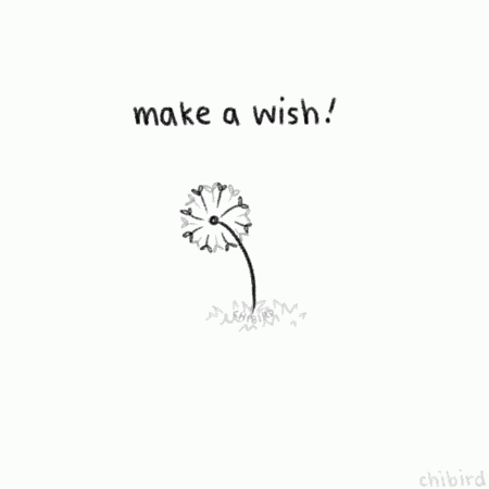 Make A Wish! GIF