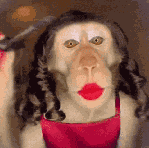 Makeup GIF