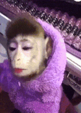 Makeup Monkey GIF