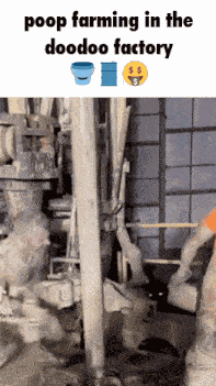 Manly Osha Violation GIF