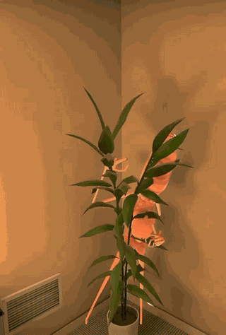 Marcus Marcus The Worm GIF