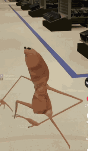 Marcus The Worm What Are You Doing GIF