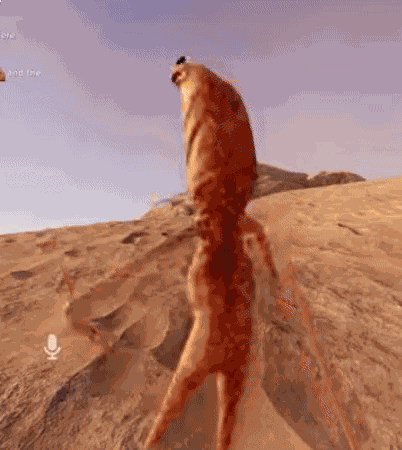 Marcus Vrchat GIF