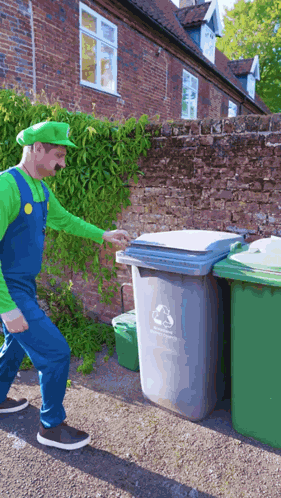 Mario Luigi GIF