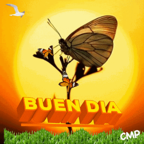 Mariposa Sol Buenos Días Buen Día Cmp Cmpbycosart GIF