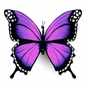 Mariposa Voleta GIF