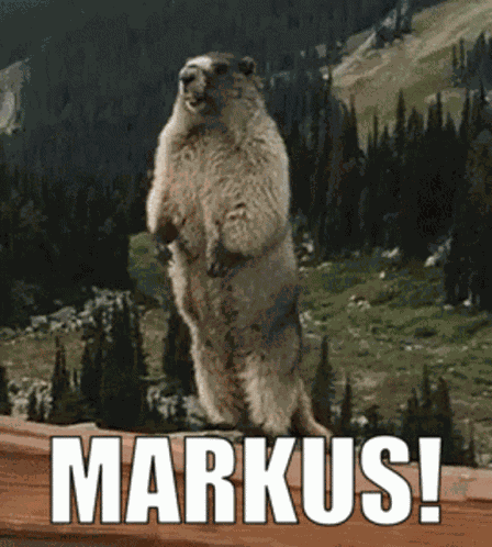 Markus Marcus GIF