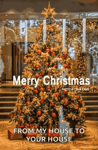 Marry Christmas Xmas GIF