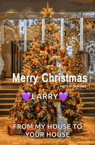 Marrychristmas Xmas GIF