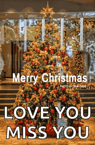 Marrychristmas Xmas GIF GIF