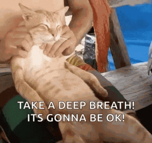 Massaging Give Me A Massage GIF