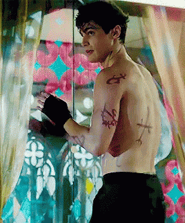 Matthewdaddario Alec GIF