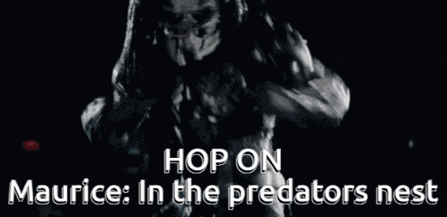 Maurice Maurice In The Predators Nest GIF