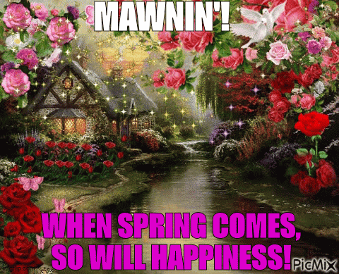 Mawnin Good Morning GIF