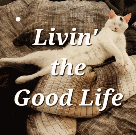 Maxx Maxxandrooby GIF