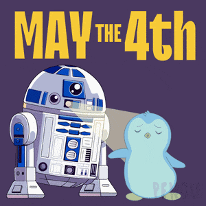 May 4th May The 4th Be With You GIF
