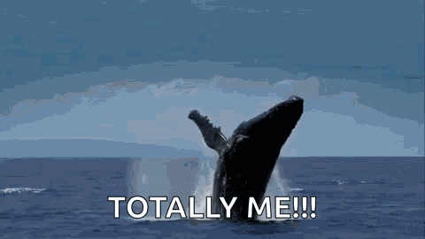 Mckinley Whale GIF