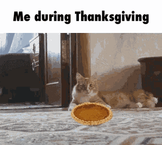 Me During Thanksgiving Pie GIF
