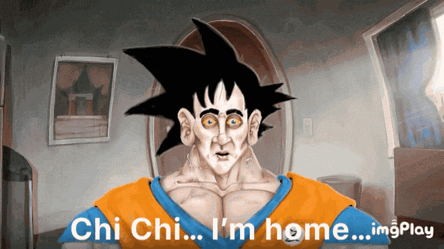 Meatcanyon Dragonballz GIF