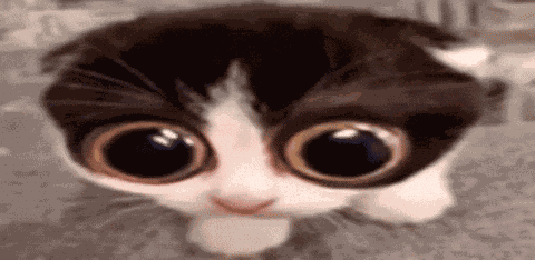 Medardra Stantwt GIF