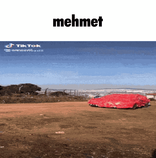 Mehmet Turk GIF