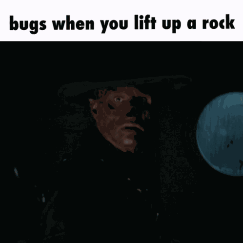 Meme Bugs When You Lift Up A Rock GIF