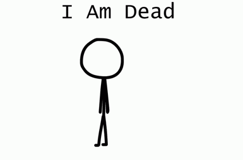 Meme Funny GIF