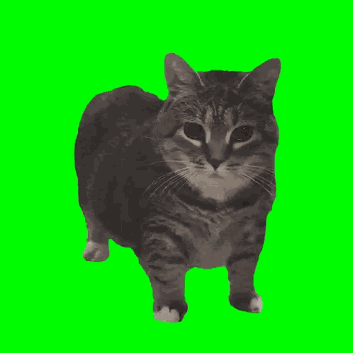 Meme Uiia GIF