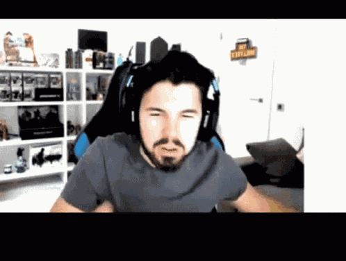 Meme Willyrex GIF