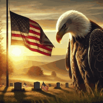 Memorial Day 2025 Meme