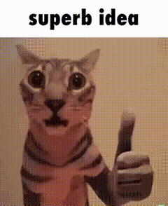 Meow Meow Meow Meow Cat GIF