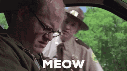 Meow Super GIF