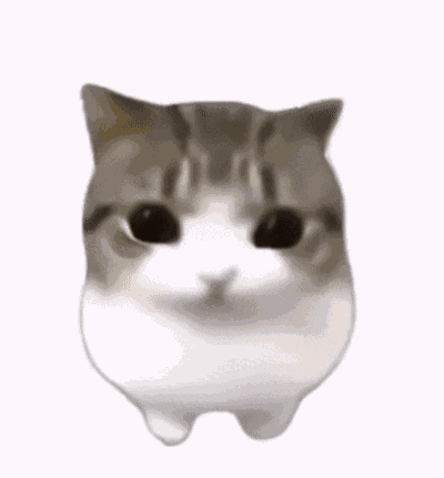 Meowpin Cat Blush GIF