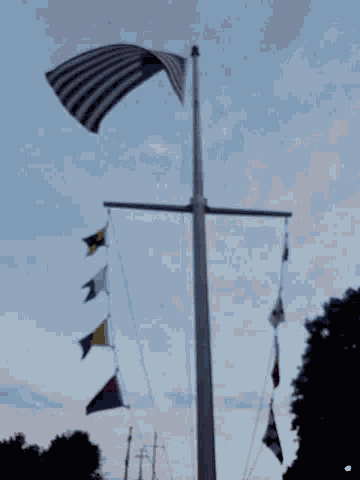Merica American Flag GIF