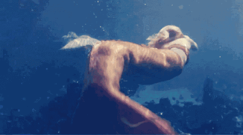 Mermaid Halfgirlhalffish GIF