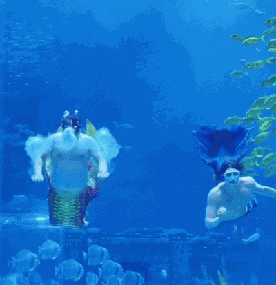 Merman GIF