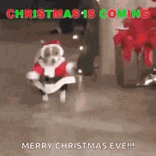 Merry Christmas Christmas Eve GIF