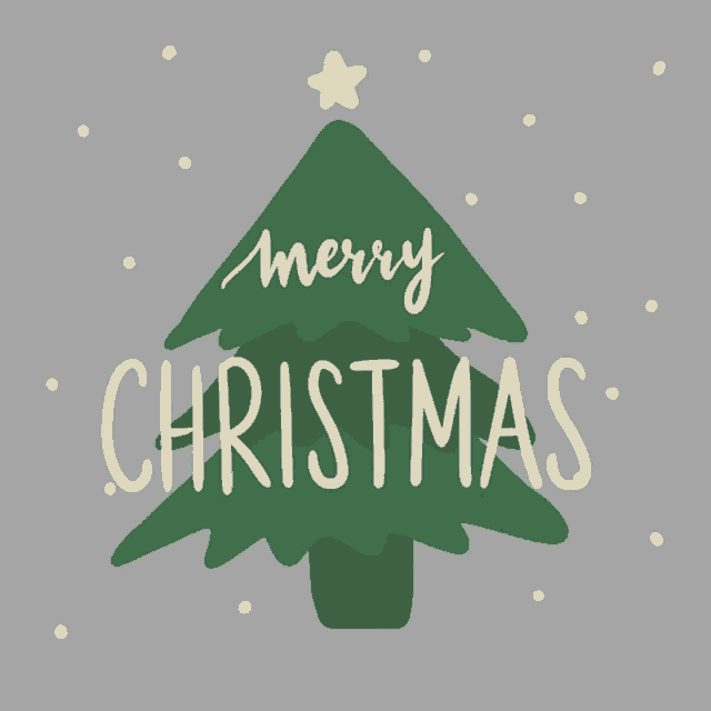 Merry Christmas Christmas GIF