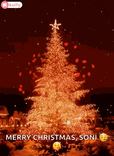 Merry Christmas Christmas GIF