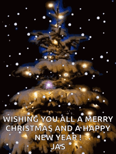 Merry Christmas Christmas GIF