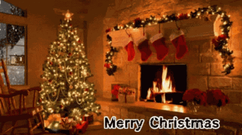 Merry Christmas Christmas Tree GIF