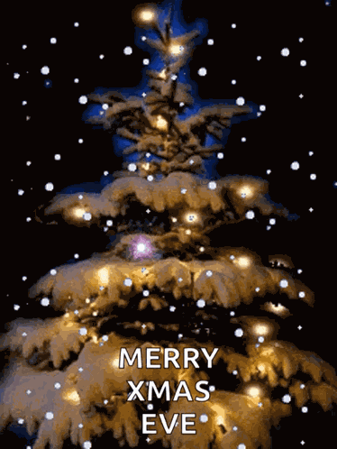 Merry Christmas Christmas GIF