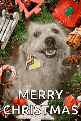 Merry Christmas Dog GIF