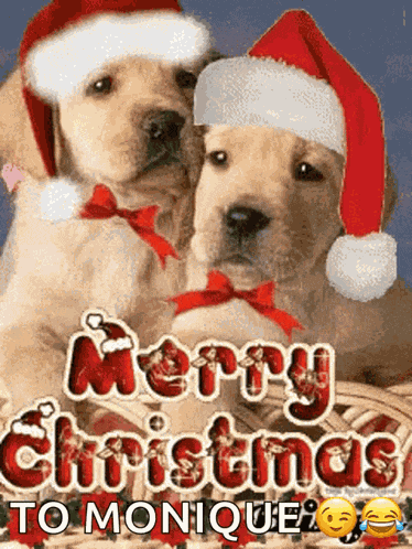 Merry Christmas Dog GIF
