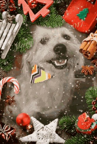 Merry Christmas Dog GIF