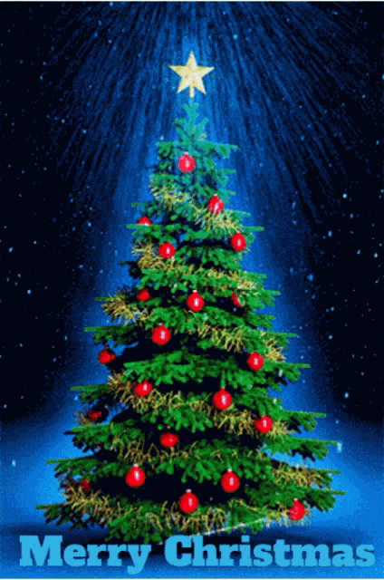 Merry Christmas Dr Joy GIF